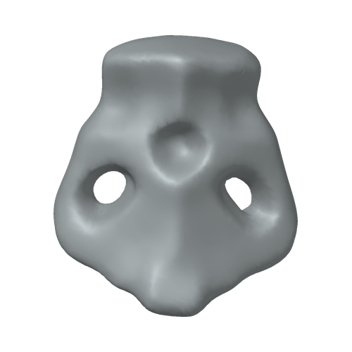 XLK_Part_D50