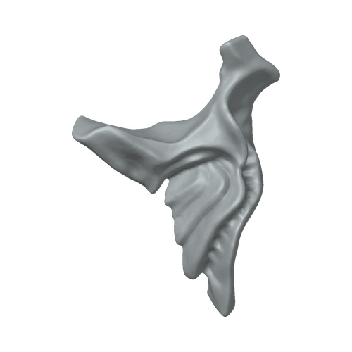 XLK_Part_5