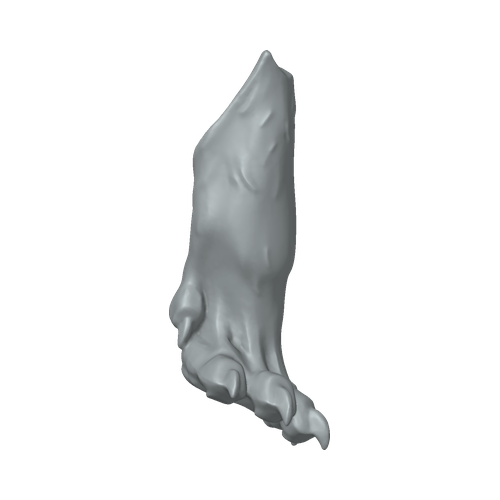 XLK_Part_3