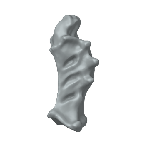 XLK_Part_4