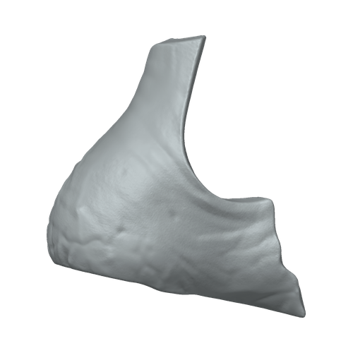 XLK_Part_6