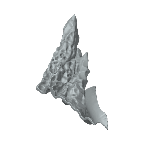 XLK_Part_5
