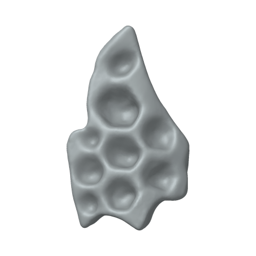 XLK_Part_40