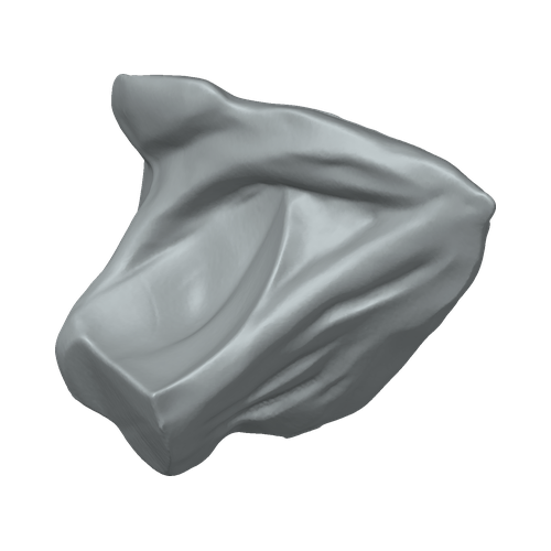 XLK_Part_48B