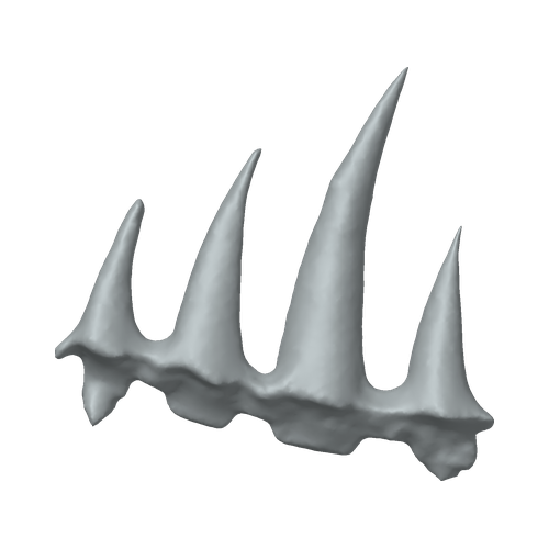 XLK_Part_69