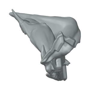 XLK_Part_9