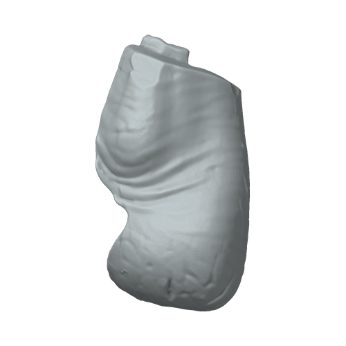 XLK_Part_8