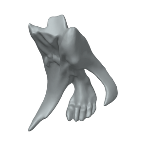 XLK_Part_1