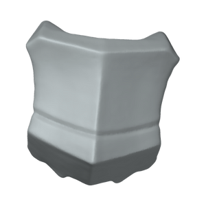 XLK_Part_B55