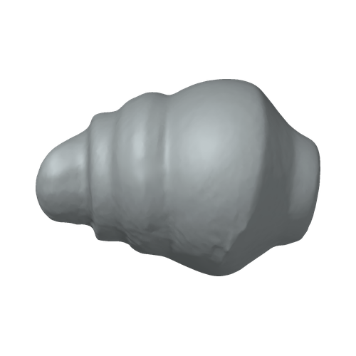 XLK_Part_55