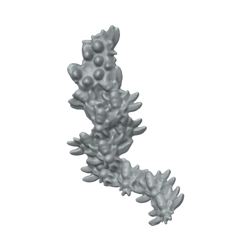 XLK_Part_36