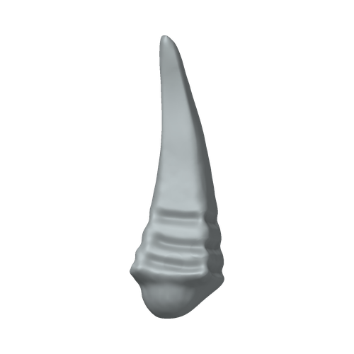XLK_Part_C88