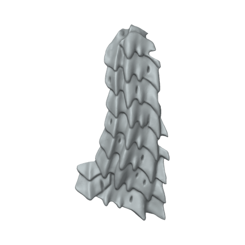 XLK_Part_16