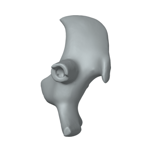 XLK_Part_55