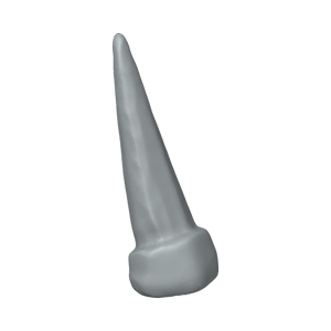 XLK_Part_42A