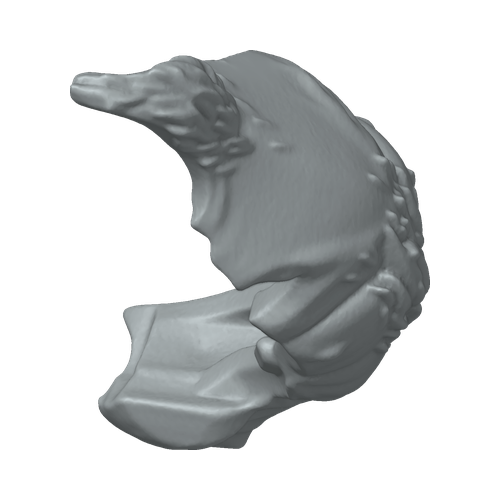 XLK_Part_B46