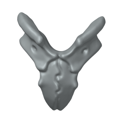 XLK_Part_11