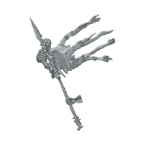 XLK_Part_D21_D22