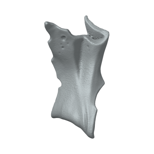 XLK_Part_B31