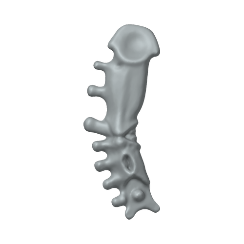XLK_Part_68