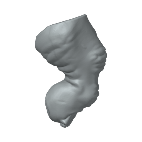 XLK_Part_D24