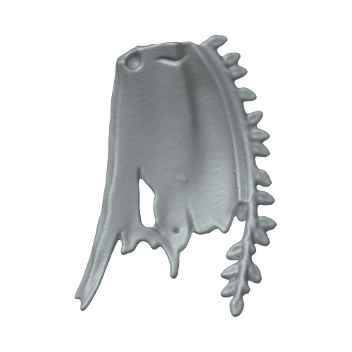 XLK_Part_59