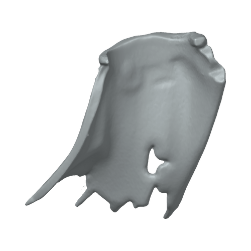 XLK_Part_57