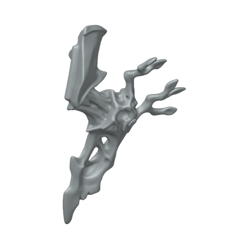XLK_Part_39