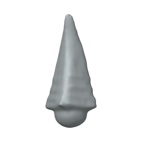 XLK_Part_C89