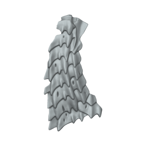 XLK_Part_19