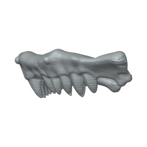 XLK_Part_B59