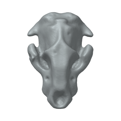 XLK_Part_B8