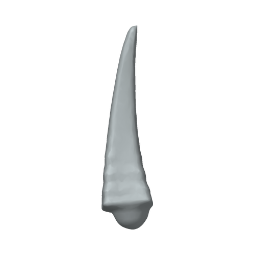 XLK_Part_C83