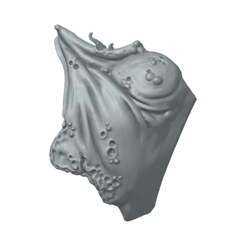 XLK_Part_6