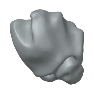 XLK_Part_77