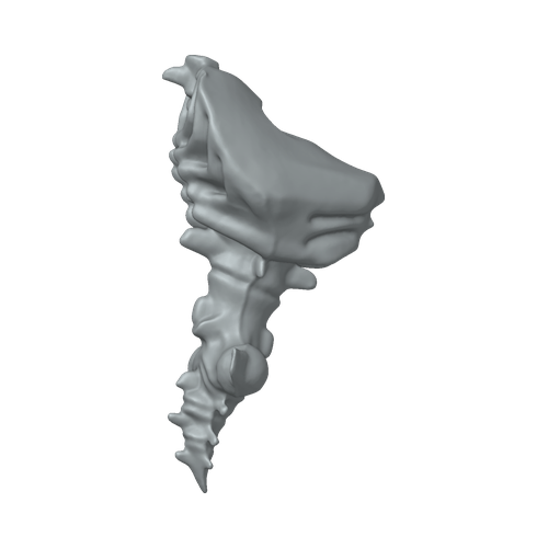 XLK_Part_1