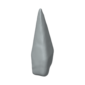 XLK_Part_33A