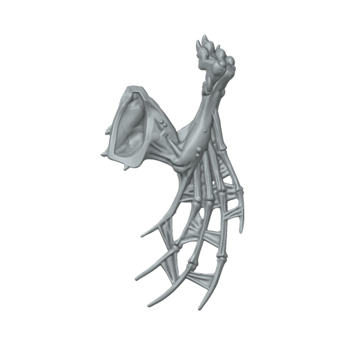 XLK_Part_D11_D12