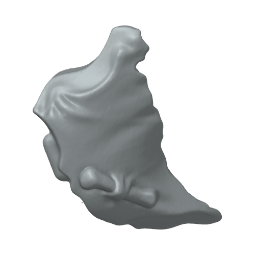 XLK_Part_B54