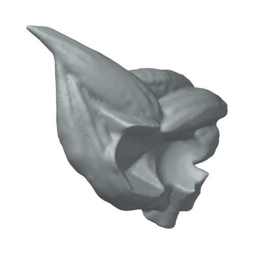 XLK_Part_52