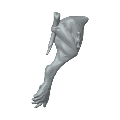 XLK_Part_B49