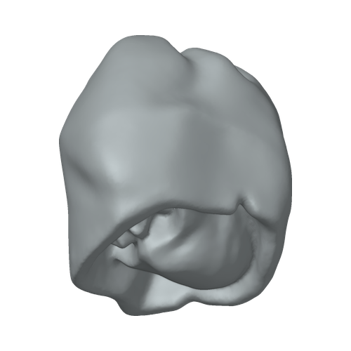 XLK_Part_11